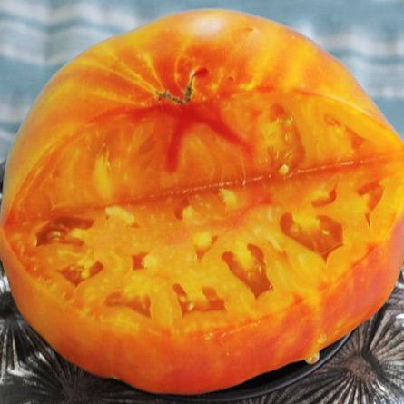 Organically-Grown Beefsteak Tomatoes | Tree Amigos Growers