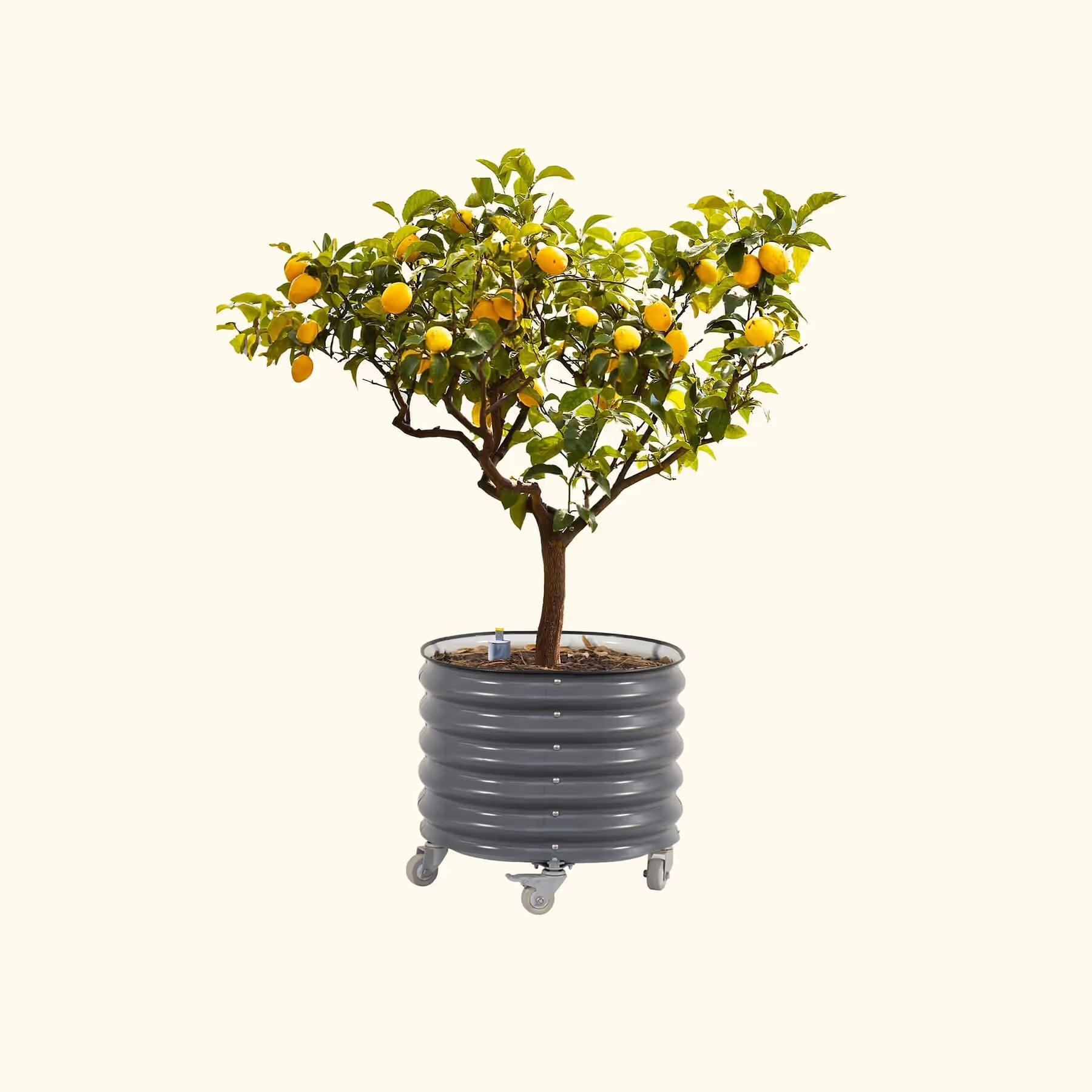 rattan plant hanger basket Kobo Rattan Hanging Basket and Planter, Brown-Gray main image 1
